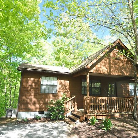 Adalynn'S Mountain Retreat-Hot Tub, 1089 Of Free Tickets For Each Paid Day, Dollywood And More! Pigeon Forge Exteriér fotografie